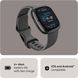 Смарт-годинник Fitbit Sense 2 Shadow Grey/Graphite (FB521BKGB)