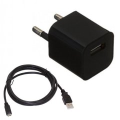 Зарядное устройство Grand-X 1*USB, 1A + cable Micro USB (CH-655UMB)