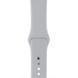 Смарт-часы Apple Watch Series 3 GPS, 42mm Silver Aluminium Case (MQL02FS/A)