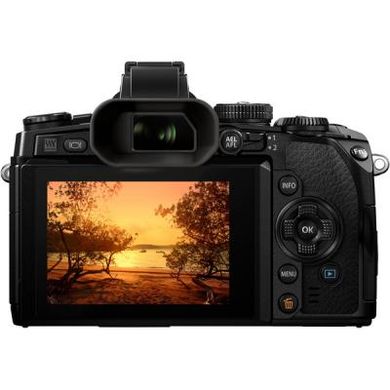 Цифровой фотоаппарат OLYMPUS E-M1 12-40 Kit black/black (V207017BE000)