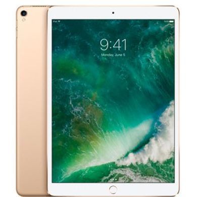 Планшет Apple A1671 iPad Pro 12.9" Wi-Fi 4G 256GB Gold (MPA62RK/A)