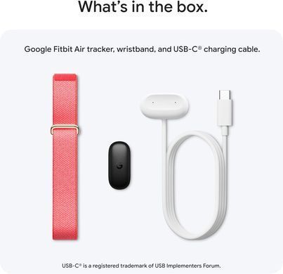 Фітнес-браслет Google Fitbit Air Berry