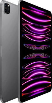 Планшет Apple iPad Pro 11 2022 Wi-Fi + Cellular 128GB Space Gray (MP553, MNYC3)