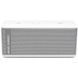 Акустическая система Riva Turbo X Premium Wireless Bluetooth Speaker White/Silver (RTX01S-UN)