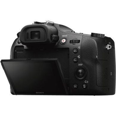 Цифровой фотоаппарат SONY Cyber-Shot RX10 MkIII (DSCRX10M3.RU3)