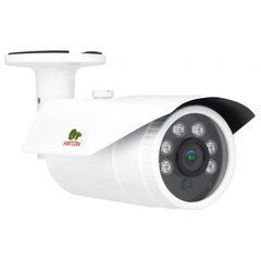 Сетевая камера Partizan IPO-2SP POE v2.1 (81138)