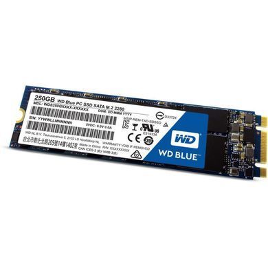 Накопитель SSD M.2 2280 250GB Western Digital (WDS250G1B0B)