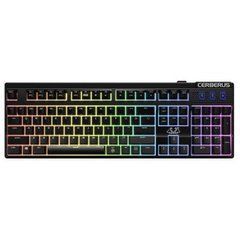 Клавиатура ASUS Cerberus Mech RGB RU BRN UBW (90YH0192-B2RA00)