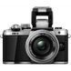 Цифровой фотоаппарат OLYMPUS E-M10 mark II Pancake Zoom 14-42 Kit silver/silver (V207052SE000)