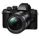 Цифровой фотоаппарат OLYMPUS E-M10 mark II 14-150 II Kit black/black (V207054BE000)