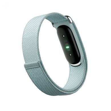 Фітнес-браслет Google Fitbit Air Fog