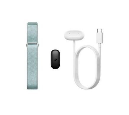 Фітнес-браслет Google Fitbit Air Fog
