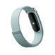Фітнес-браслет Google Fitbit Air Fog
