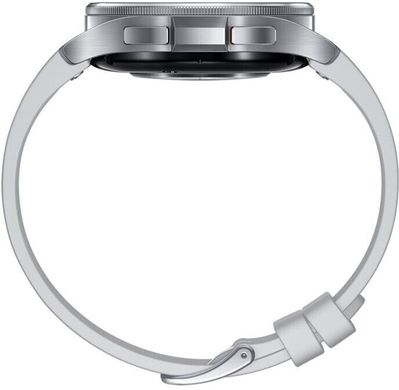 Смарт-часы Samsung Galaxy Watch6 Classic 43mm Silver (SM-R950NZSA)