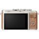 Цифровой фотоаппарат OLYMPUS E-PL9 14-42 mm Pancake Zoom Kit brown/silver (V205092NE000)