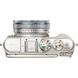 Цифровой фотоаппарат OLYMPUS E-PL9 14-42 mm Pancake Zoom Kit brown/silver (V205092NE000)