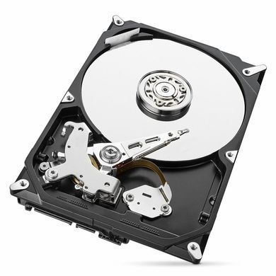 Жесткий диск 3.5" 1TB Seagate (ST1000DM010)