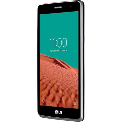Мобильный телефон LG X155 (Max) Titan (LGX155.ACISST)