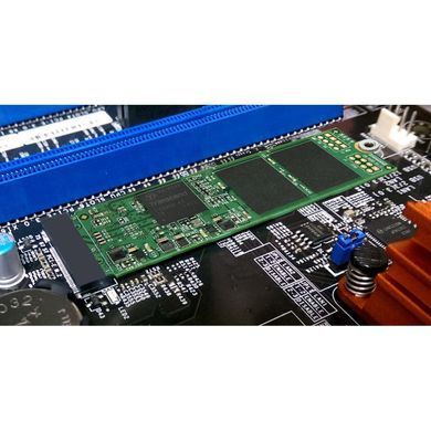 Накопитель SSD M.2 256GB Transcend (TS256GMTS800)
