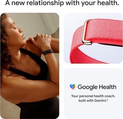 Фитнес-браслет Google Fitbit Air Obsidian