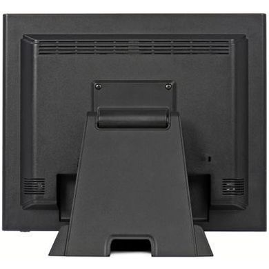 Монитор iiyama PL T1731SR-B1